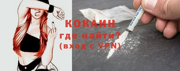 PSILOCYBIN Осинники