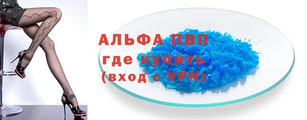 PSILOCYBIN Осинники
