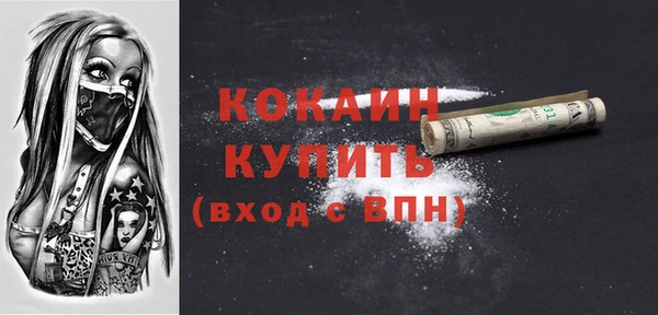 PSILOCYBIN Осинники